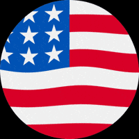 VoiceCrafters trump usa flag vote GIF