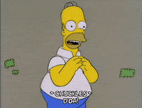 homer simpson GIF