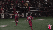 St Johns Goal Celebration GIF by St. John's Red Storm