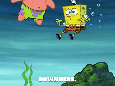 season 6 GIF by SpongeBob SquarePants