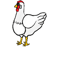 Dresdner Sticker
