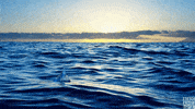 blue planet oceans GIF by BBC America