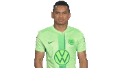 Wo Look Around Sticker by VfL Wolfsburg