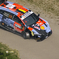 Game Over Racing GIF by FIA World Rally Championship