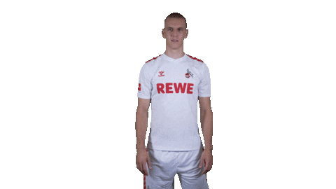 1 Fc Cologne Football Sticker by 1. FC Köln
