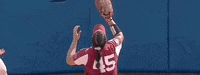 World Series Softball GIF by NCAA Championships