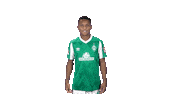 Bundesliga Felix Sticker by SV Werder Bremen