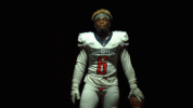unite18 cnfb18 GIF by Carson-Newman Athletics