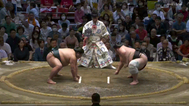 TZ85 giphyupload GIF