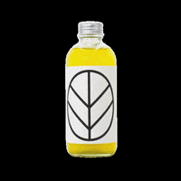 curatedculture_sg tea green tea probiotic tea moment of clarity GIF