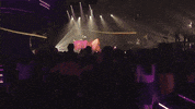 tove lo kai GIF by Flume