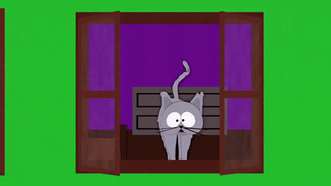 kitty window GIF by South Park 