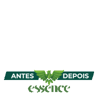 Sticker by Essence Distribuidora Sul