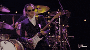 Oh Yeah Rock GIF by Joe Bonamassa