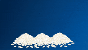 Arroz GIF by BASF Soluções para a Agricultura