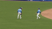 High Five Chicago Cubs GIF by TheDreamTeam 