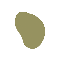 keepingthecreativity creative simple shape oval Sticker