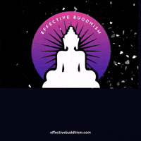 effectivebuddhism mindfulness enlightenment innerpeace spreadkindness GIF