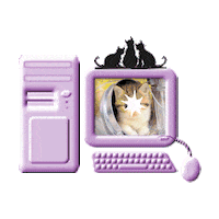 cat STICKER by imoji