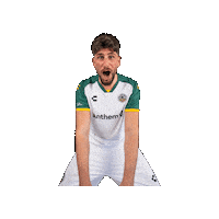 The Town Soccer Sticker by Oakland Roots Sports Club
