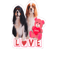 Cavalierkingcharlesspaniel Love Sticker