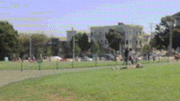world send GIF