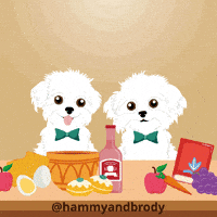 Dog GIF by HammyandBrody