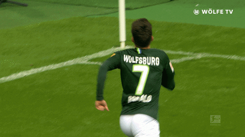josip brekalo football GIF by VfL Wolfsburg