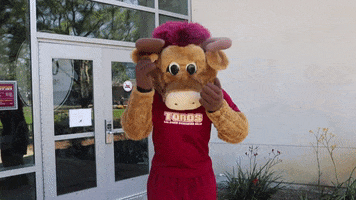 csudhteddytoro excited yay joy happiness GIF