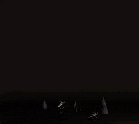 3D Artist GIF by Clara Terne