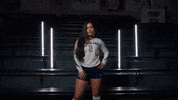 Georgia Tech Volleyball GIF by Georgia Tech Yellow Jackets