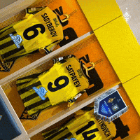 Сатпаев GIF by FC Kairat