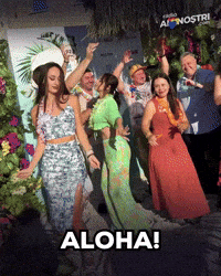 Lets Dance Hawaii GIF by Ai Nostri