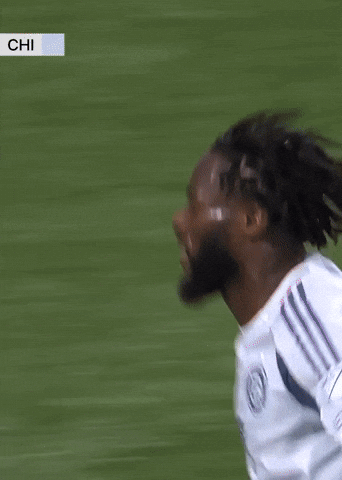 Chicago Fire Celebration GIF by Major League Soccer