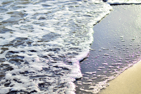 sea GIF