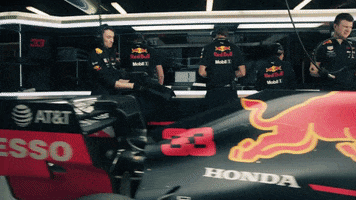 ver france GIF by Red Bull Racing