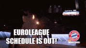 Fc Bayern Europe GIF by FC Bayern Basketball