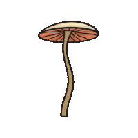 Mushroom Sticker by Fungi Academy
