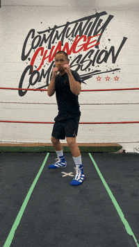 quinitboxing  GIF