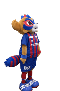 Football Tokyo Sticker by FC東京