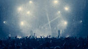 lean on diplo GIF by MAJOR LAZER