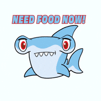 Hungry Fish GIF by VeeFriends