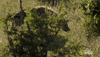 nat geo wild hyena GIF by Savage Kingdom