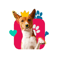 Pet Month Sticker by Cronos Logistics