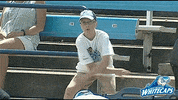 happy grand rapids GIF by West Michigan Whitecaps 