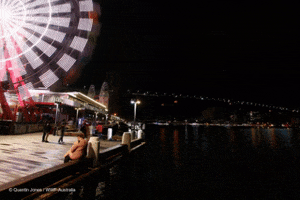 night lights GIF by Earth Hour