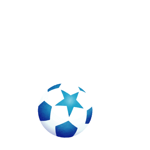 Football Soccer Sticker by Danone Nations Cup