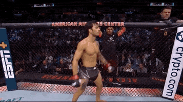 Mixed Martial Arts Sport GIF by UFC