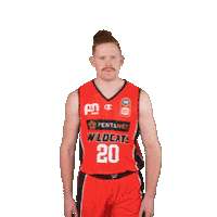 Basketball Point Sticker by Perth Wildcats