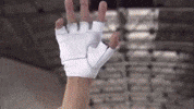 Kamen Rider Kotaro Minami GIF